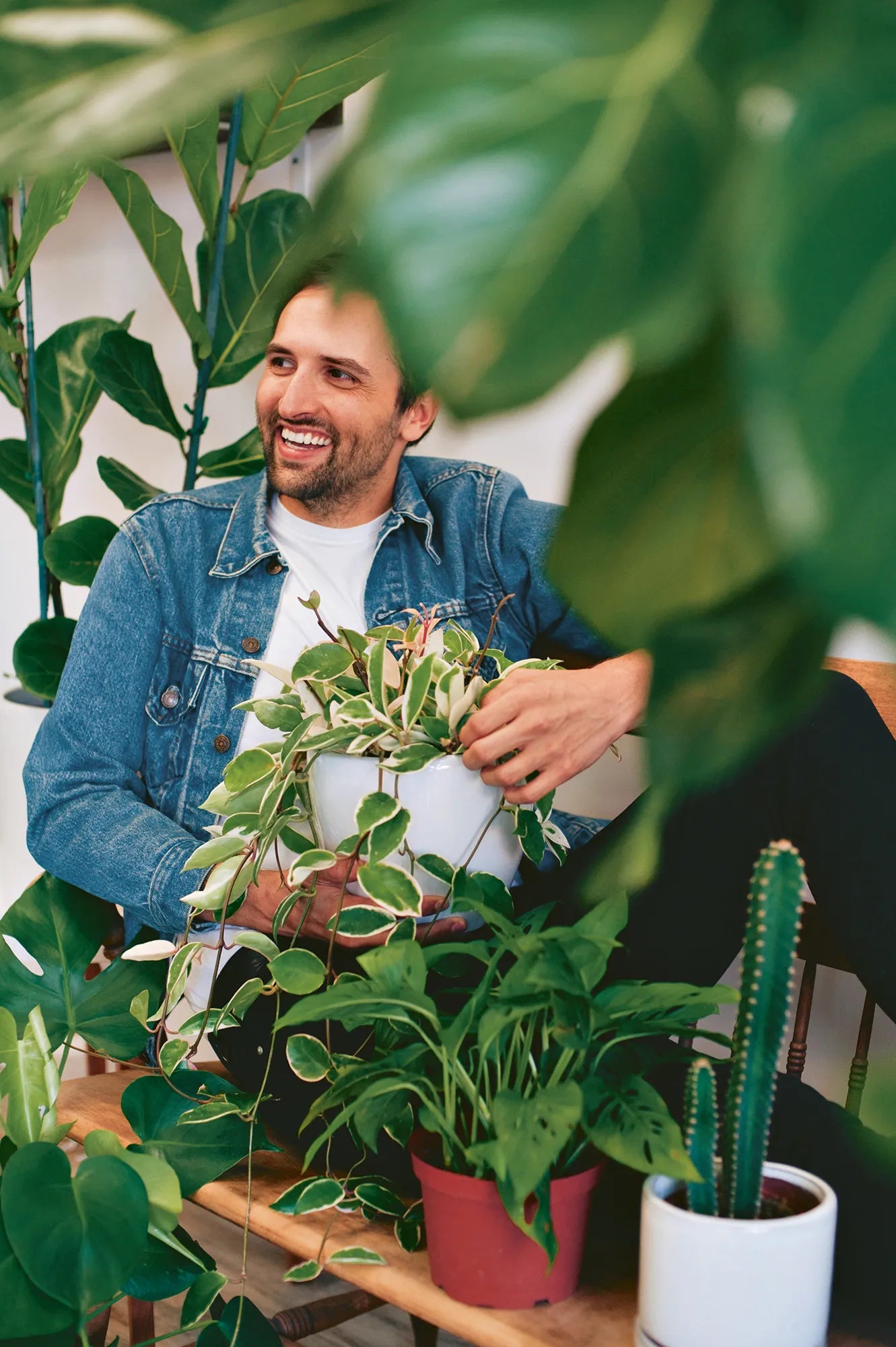 Cómo las plantas te ayudan a aliviar el estrés