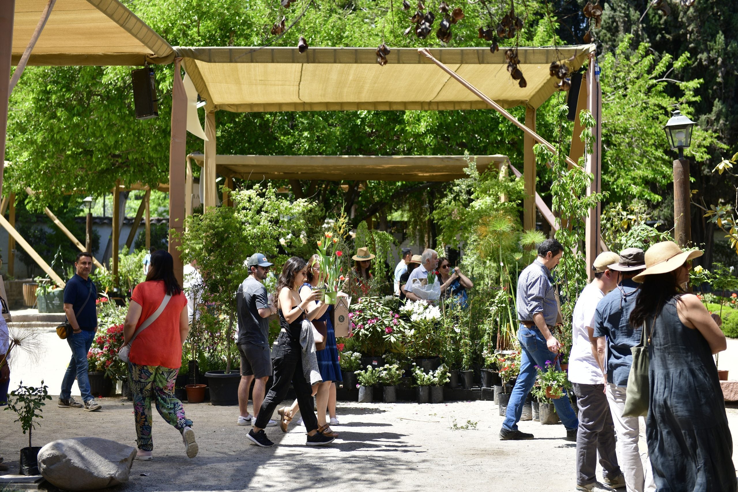 ¡Acompáñanos en la Expo Jardines en Lo Matta Cultural!