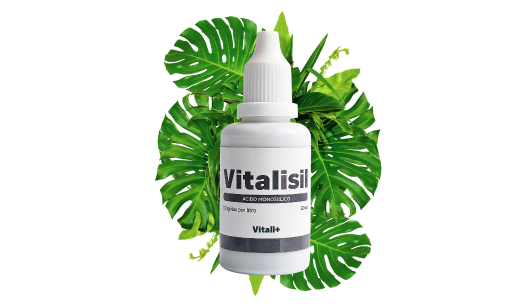 La "Piel de Acero" Instantánea: Por qué el Ácido Monosilícico de Vitalisil deja obsoleto al Silicato común