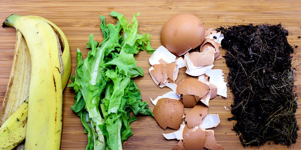 ¿Buscas "5 Fertilizantes Naturales y Caseros"? La verdad sobre las cáscaras de plátano y por qué tu planta merece algo mejor