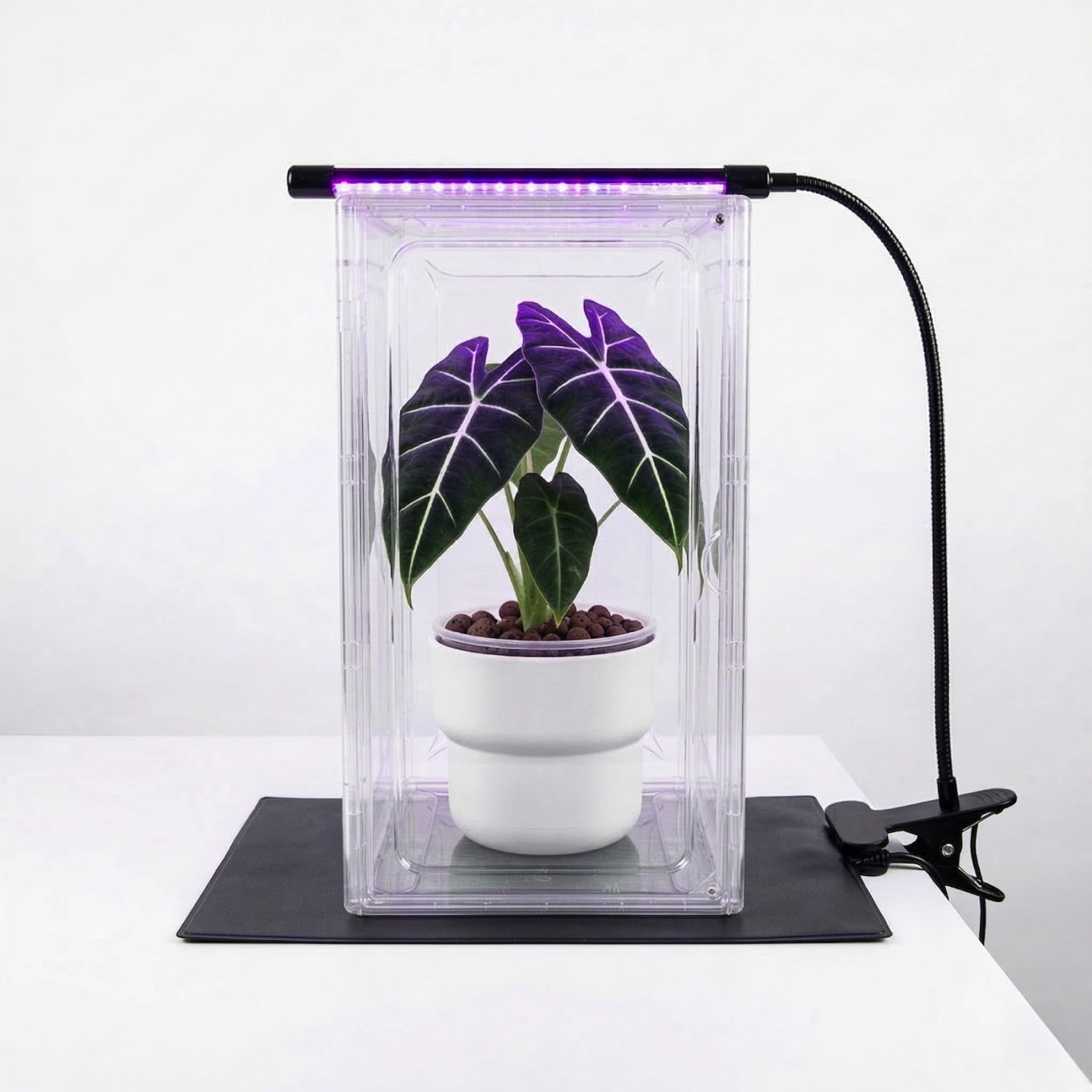 Hackeando el Invierno: La guía definitiva de Luces, Mantas Térmicas y por qué el Humidificador salvará tu Jungla