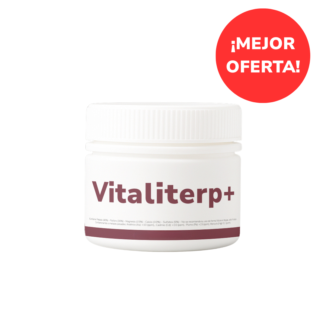 Vitaliterp