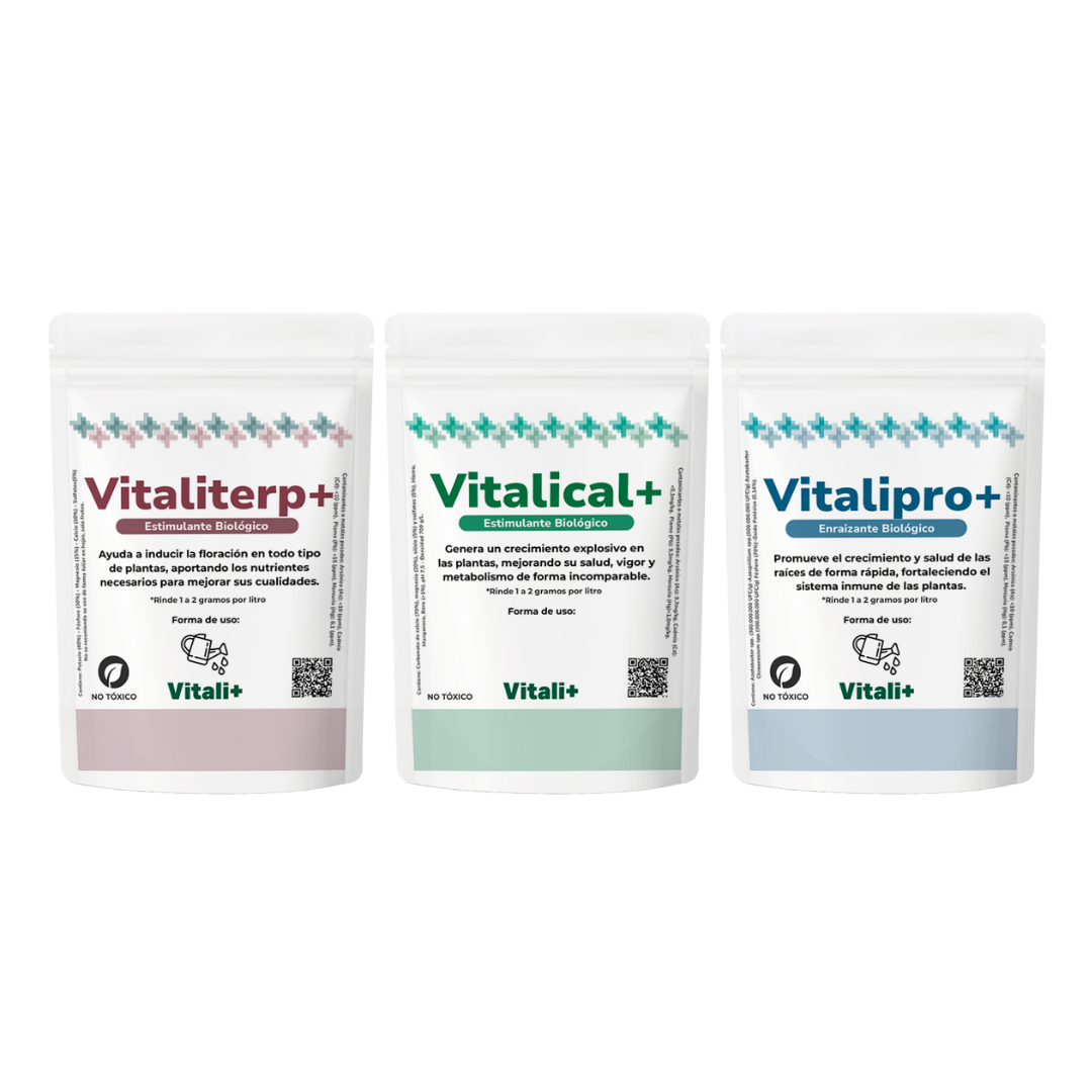 Tripack Vitali+