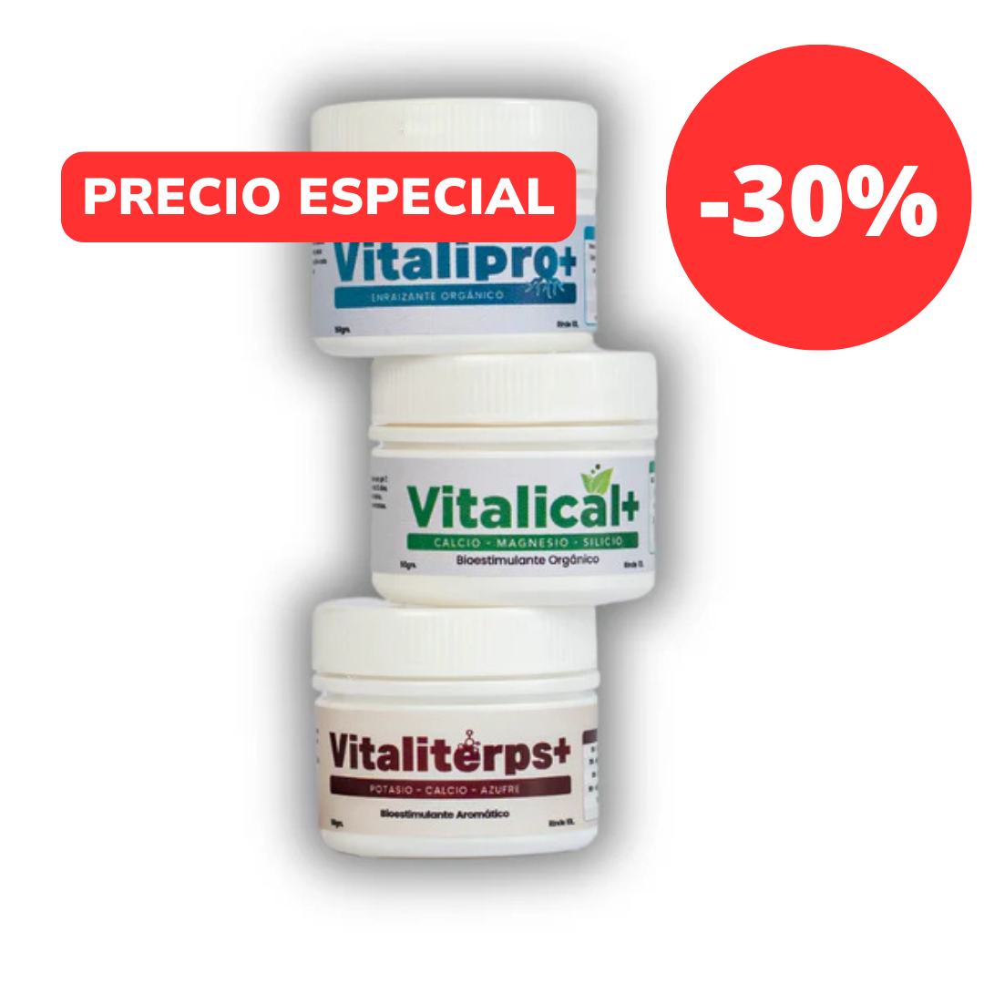 Pack Vitalifan