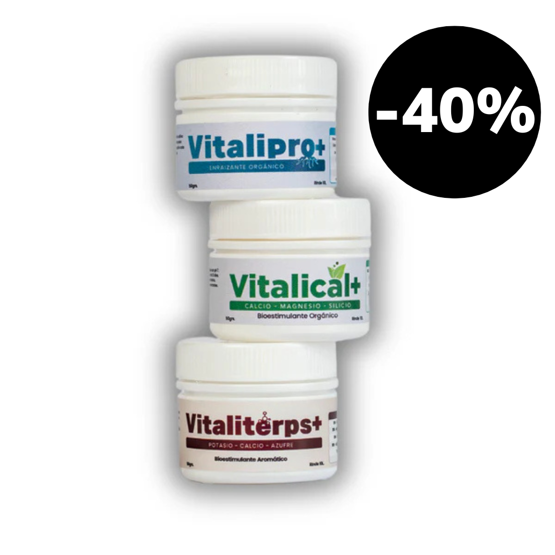 Pack Vitalifan