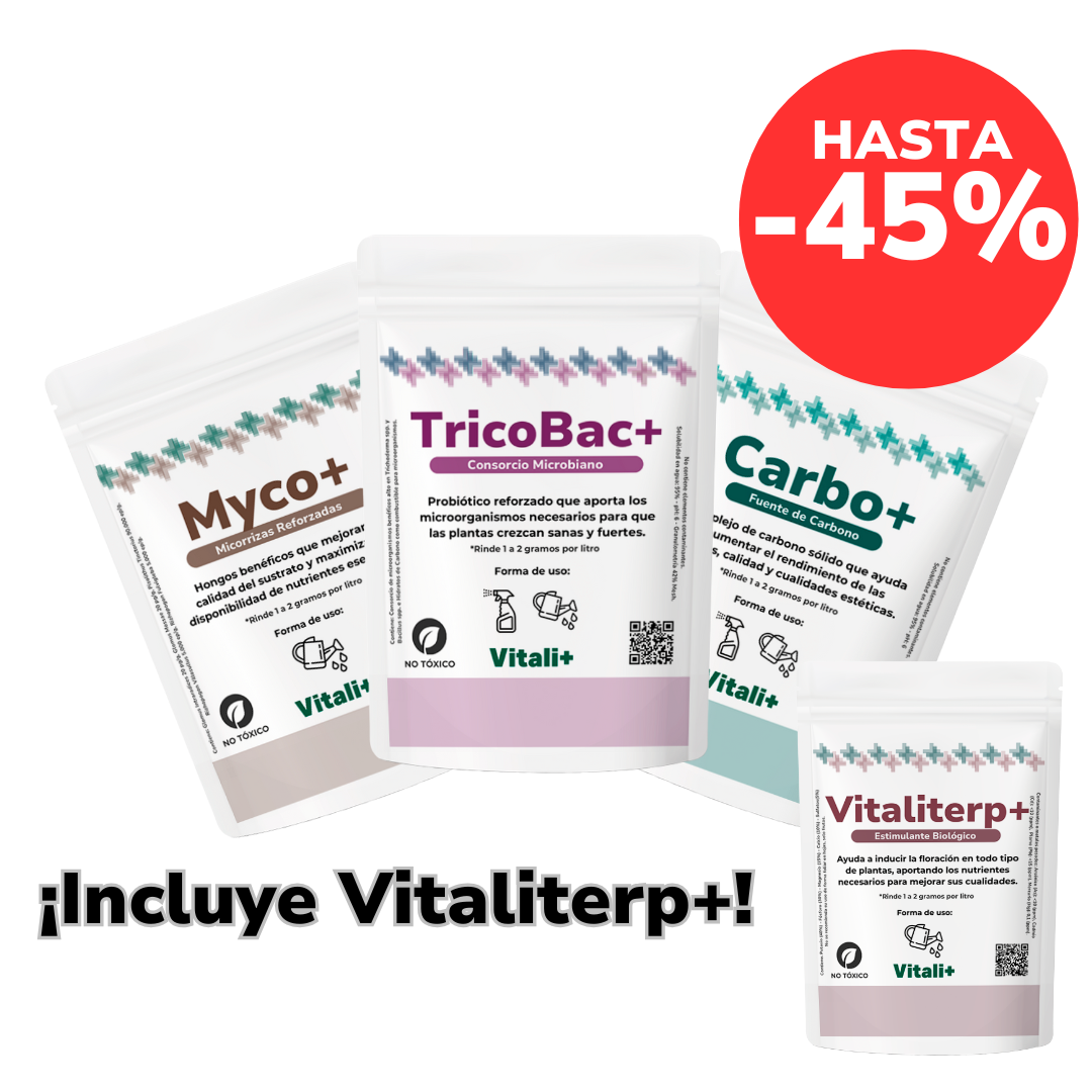 Pack Anti-Frío