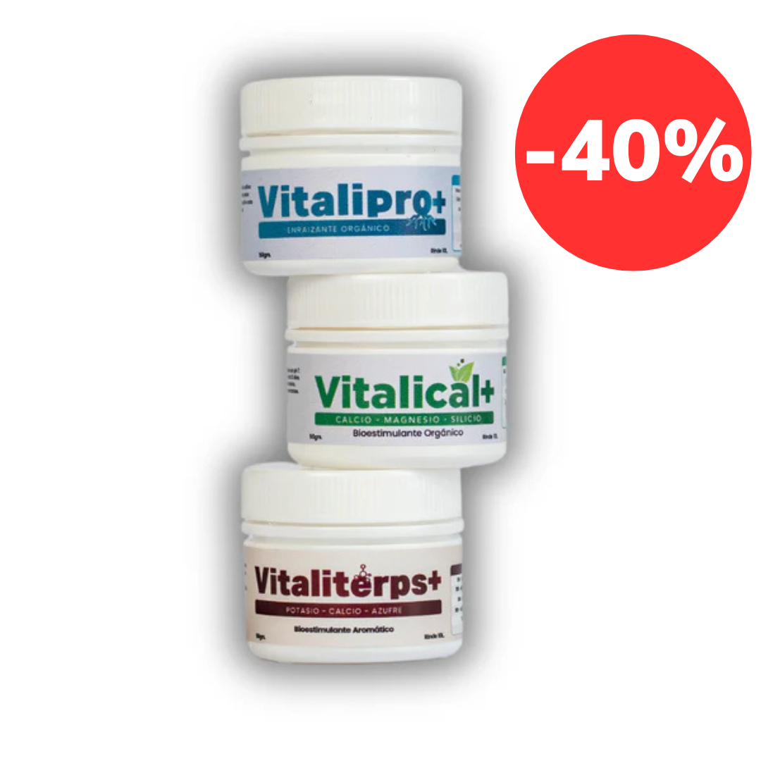 Pack Vitalifan