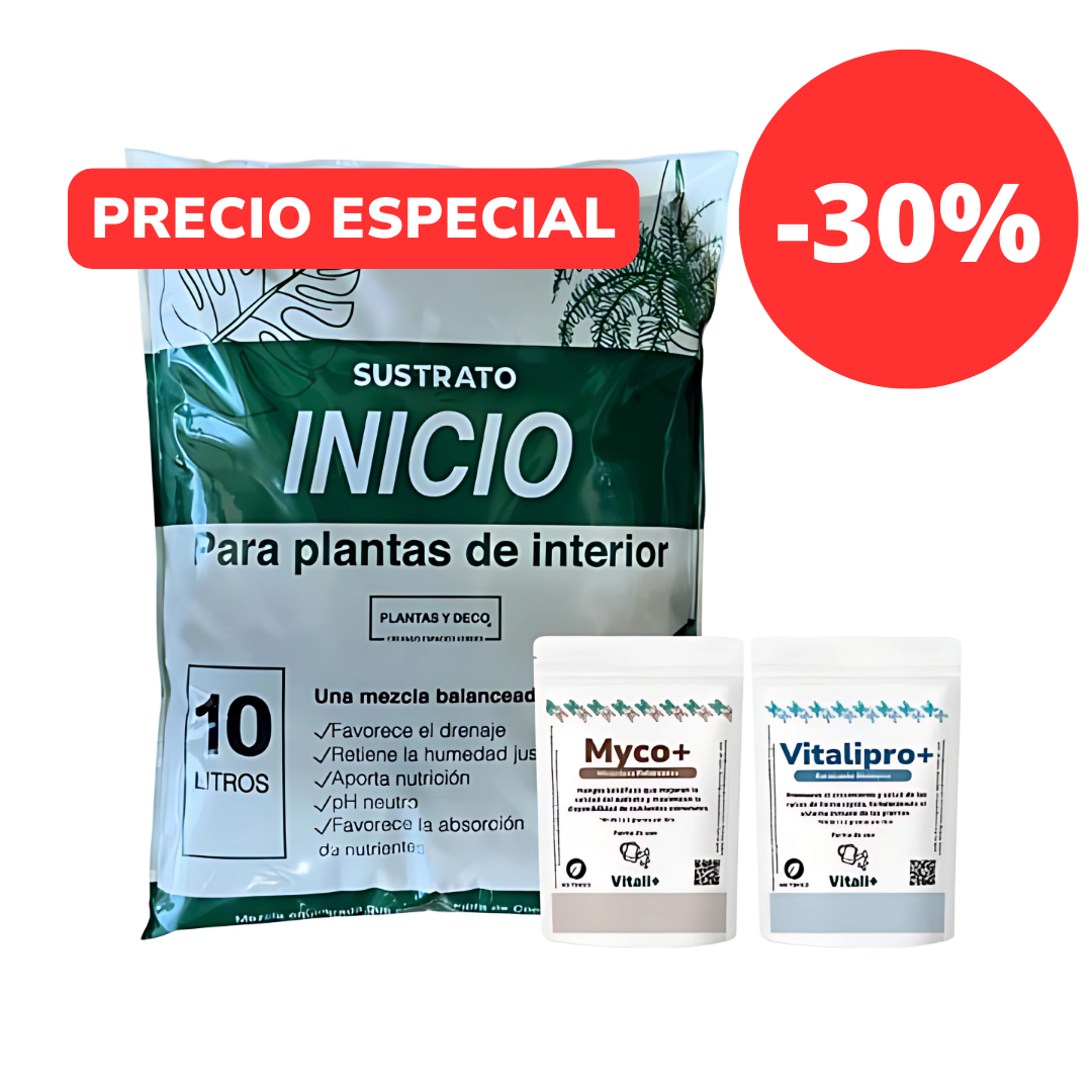 Pack Trasplante
