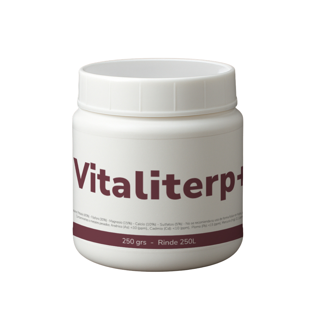 Vitaliterp