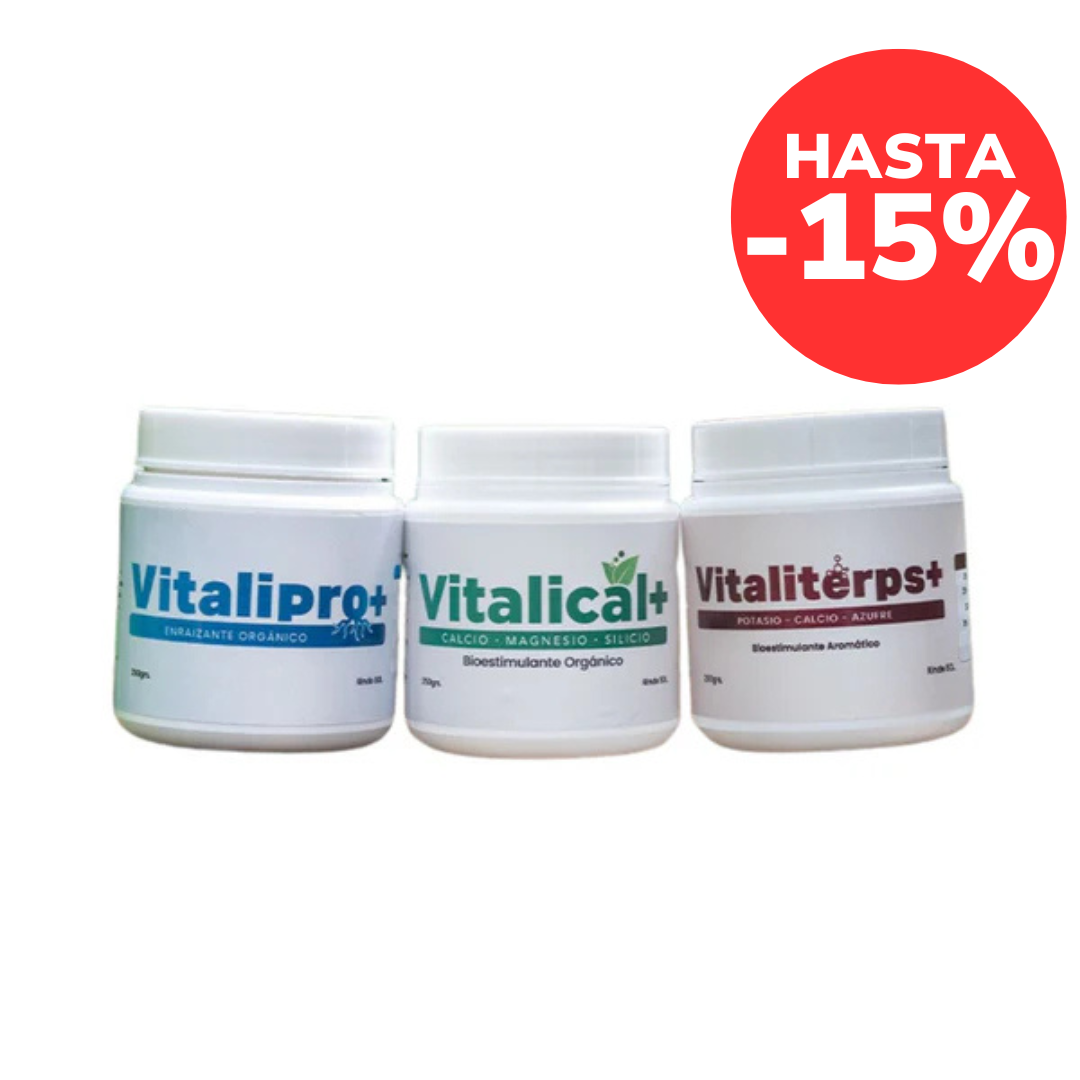 Pack Vitalifan