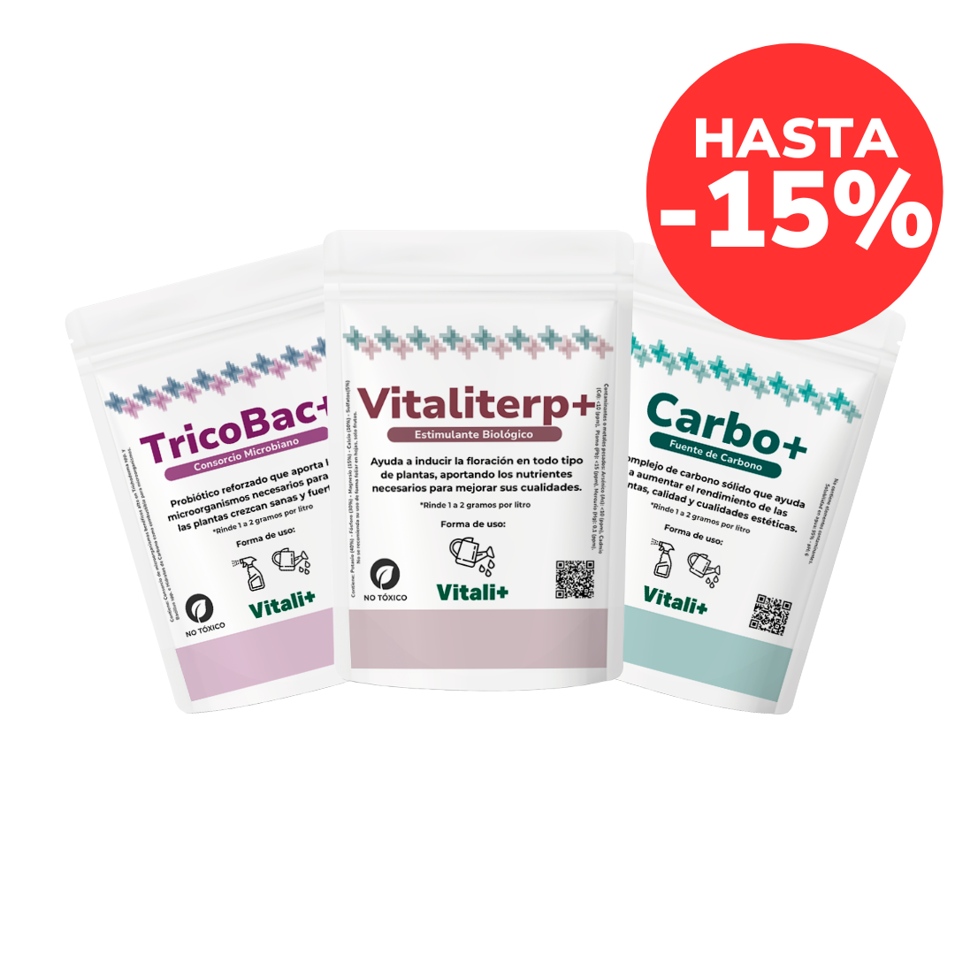 Pack Invierno