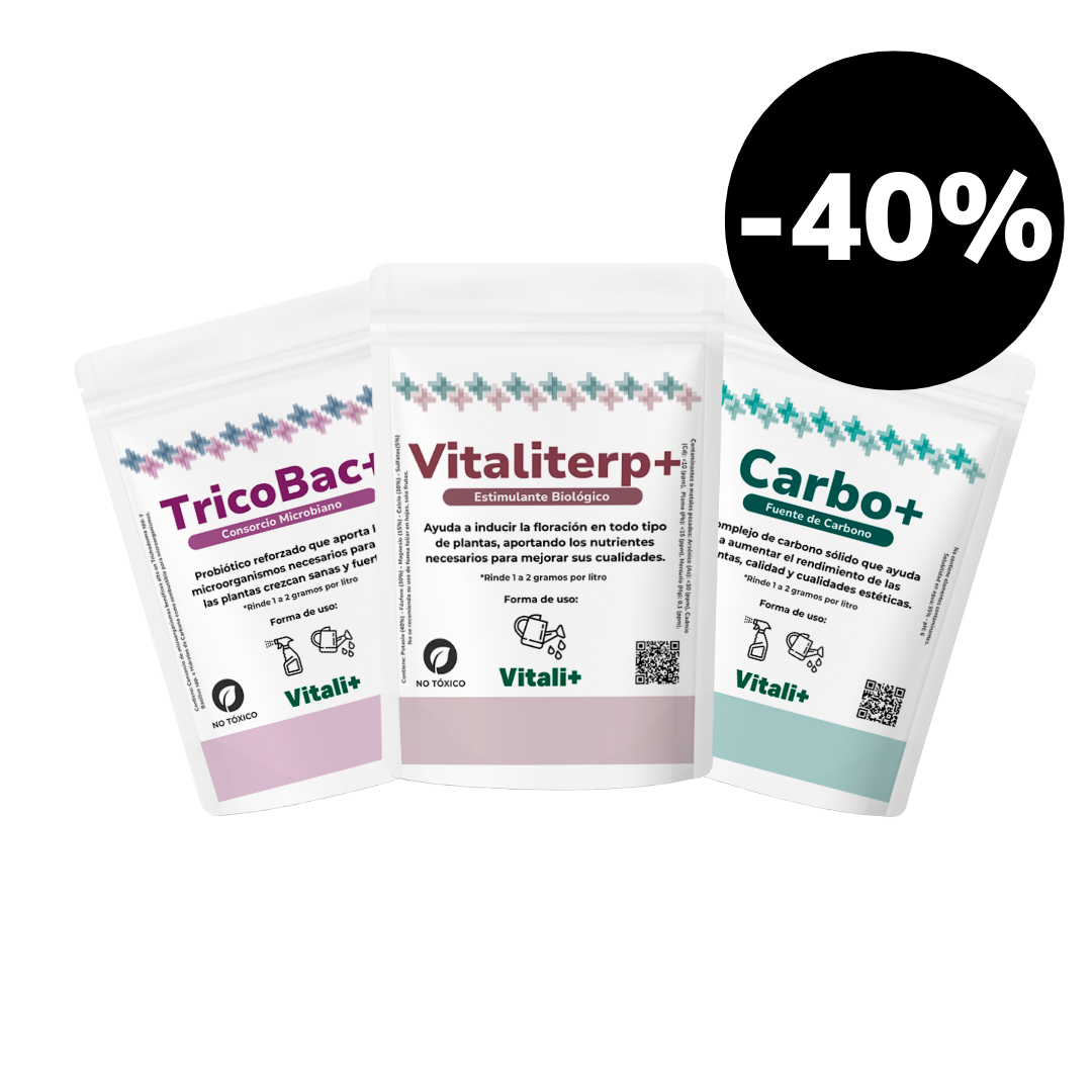 Pack Invierno