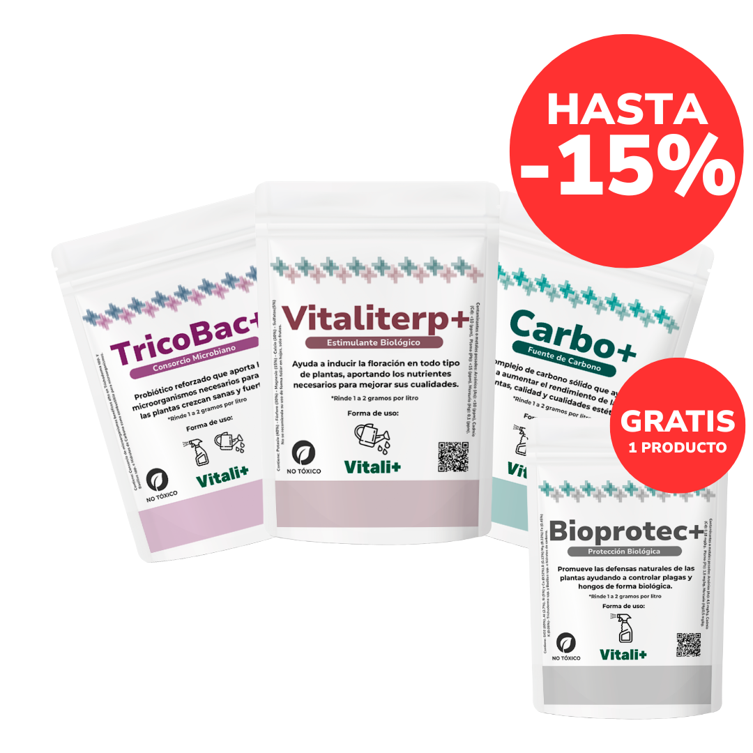 Promo Invernal