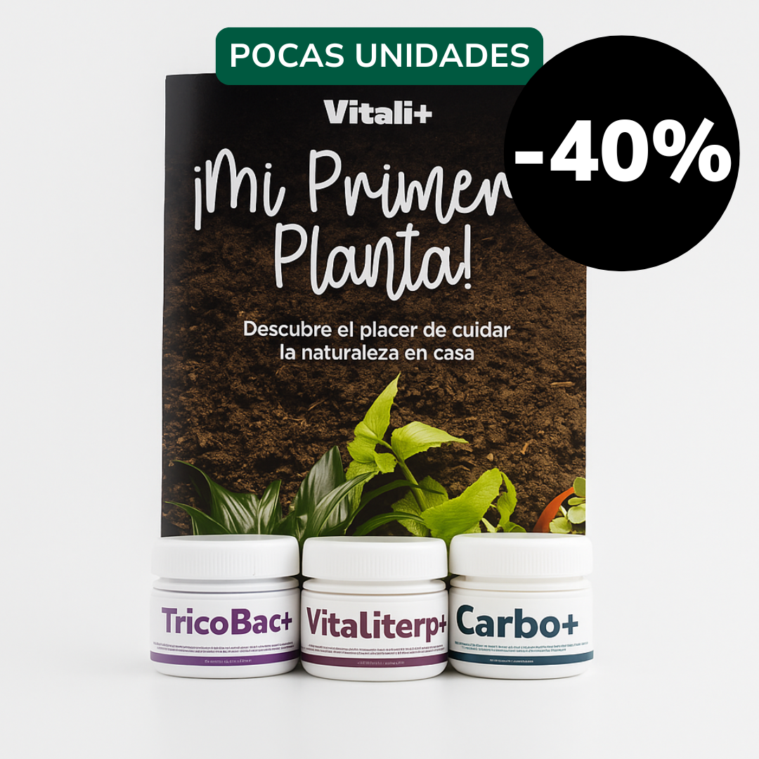 Pack Invierno - EDICIÓN LIMITADA