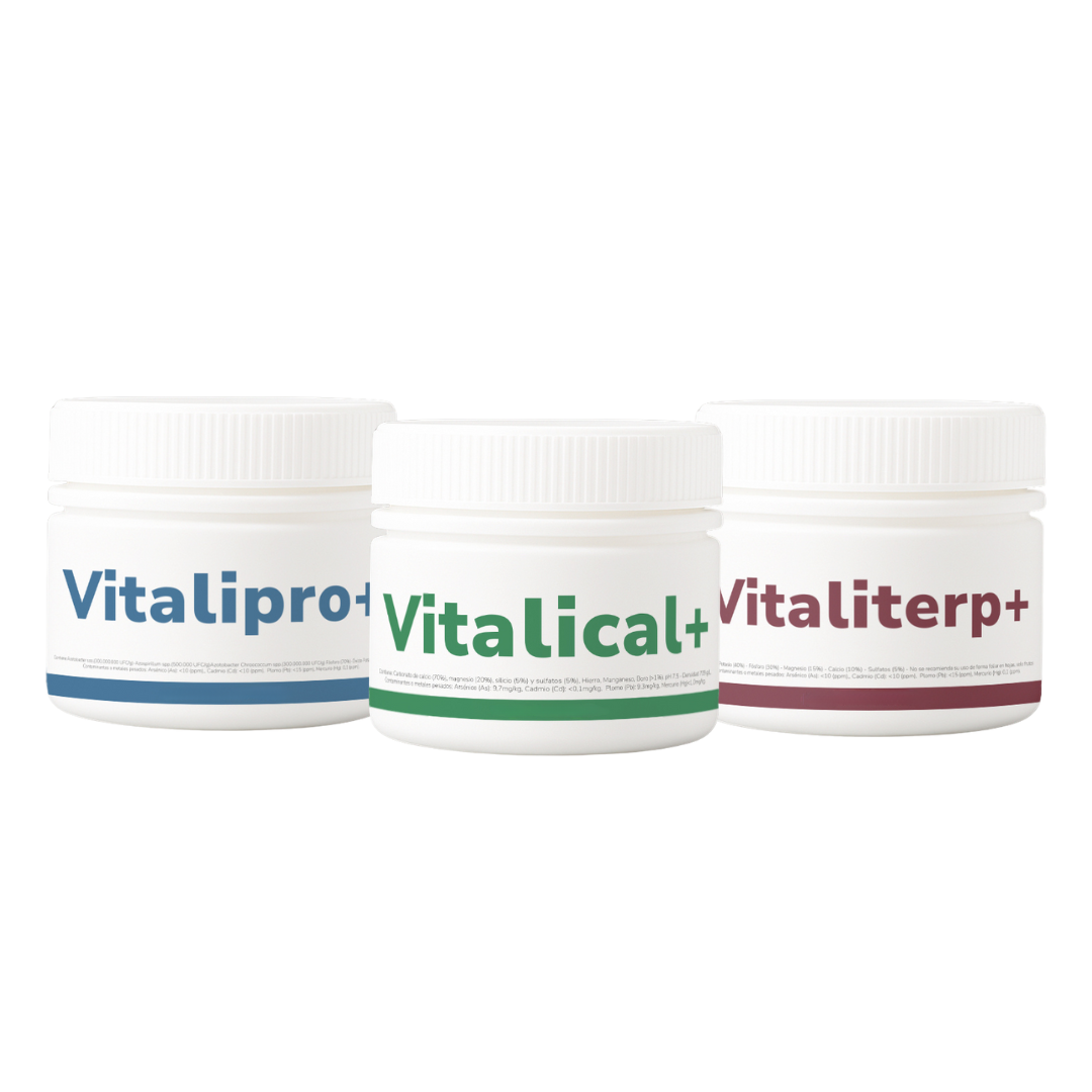 Pack Vitalifan