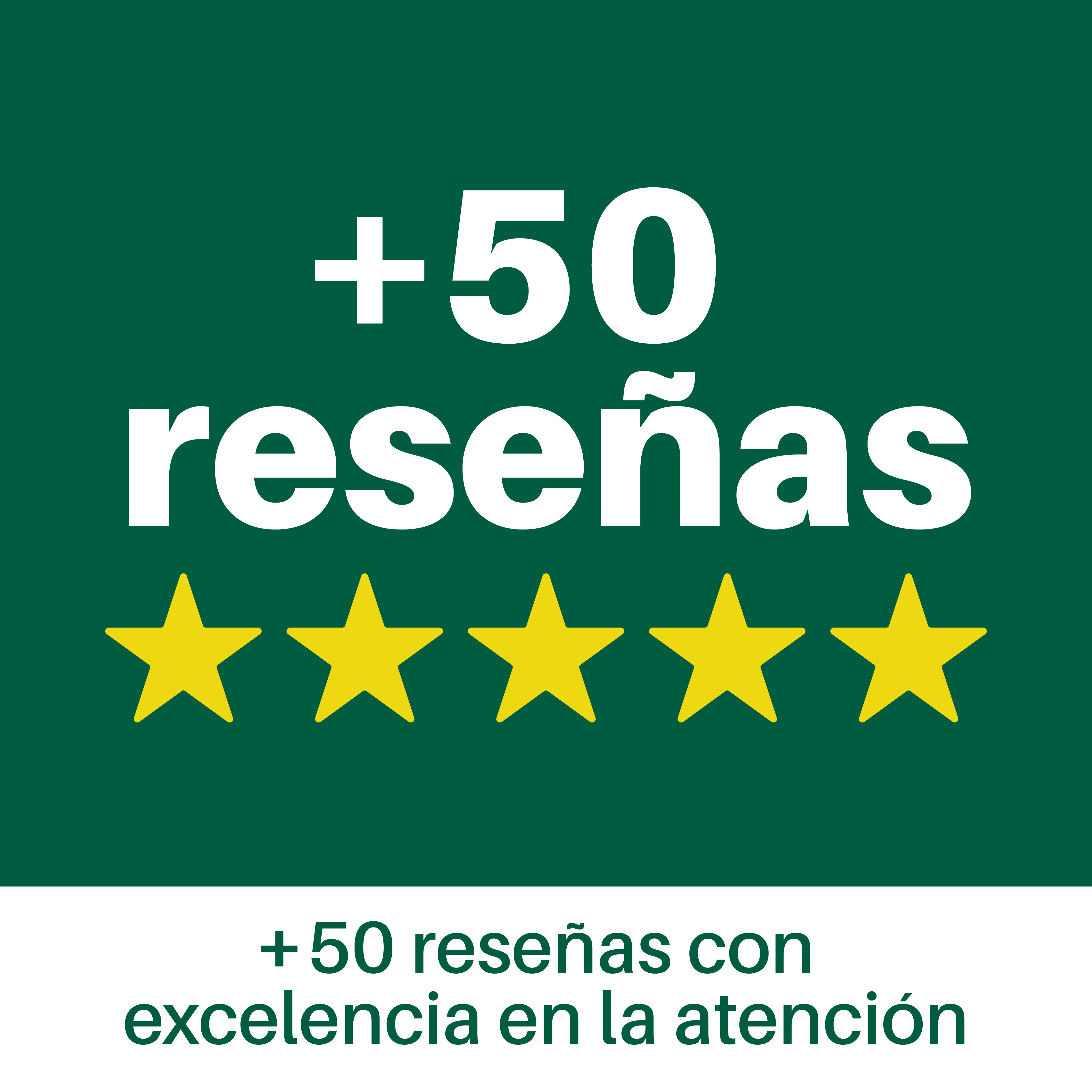 Consulta en línea: Asesoría experta para tus plantas