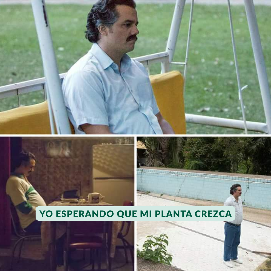 Taller: Manual de Supervivencia