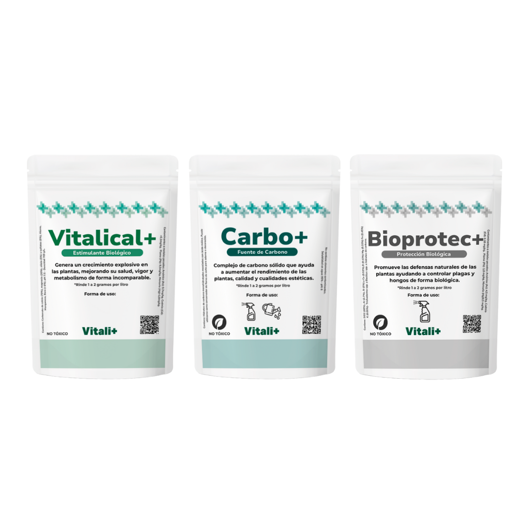Pack Desarrollo