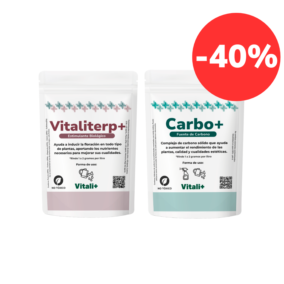Pack Energizante