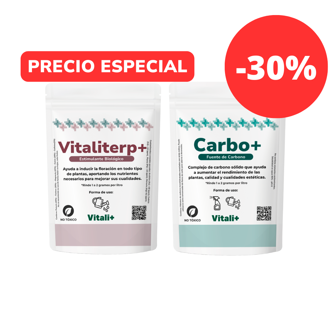 Pack Energizante