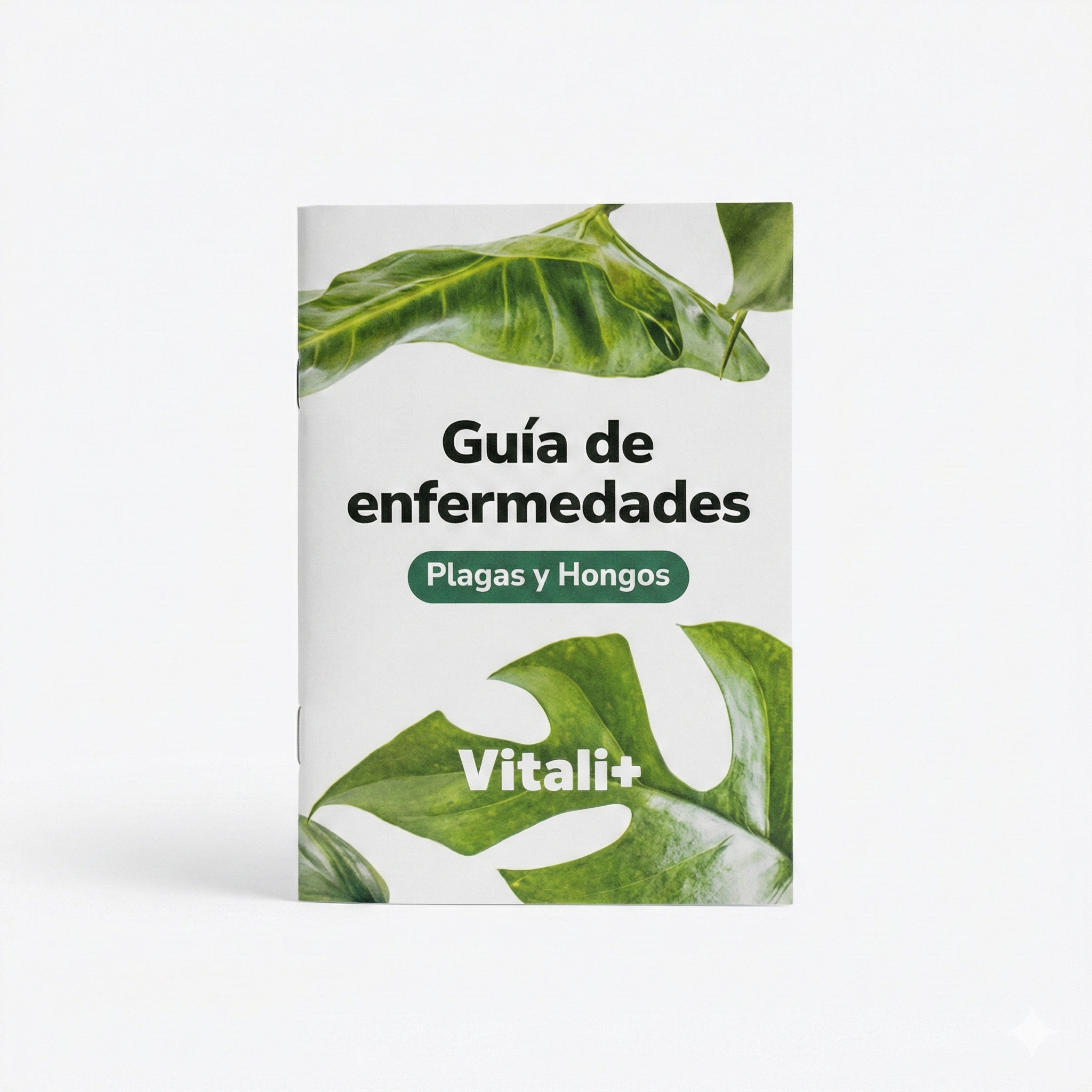 Guía de Enfermedades