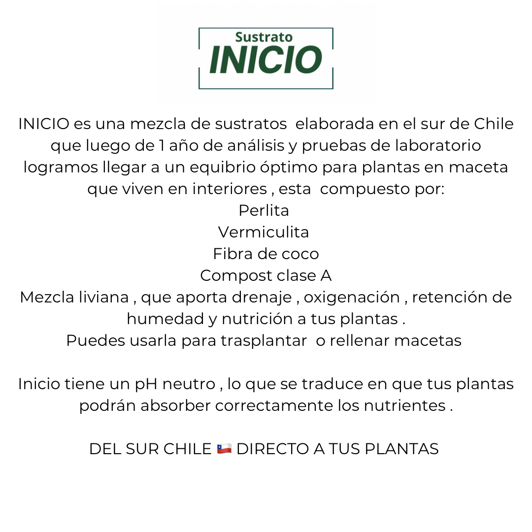 Sustrato Inicio 10lts