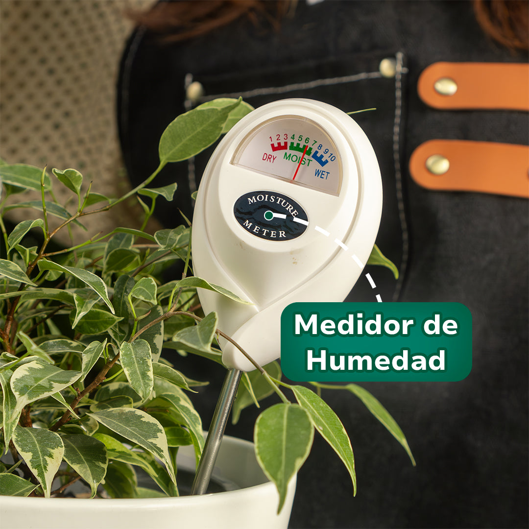 MEGA Pack Vitali+