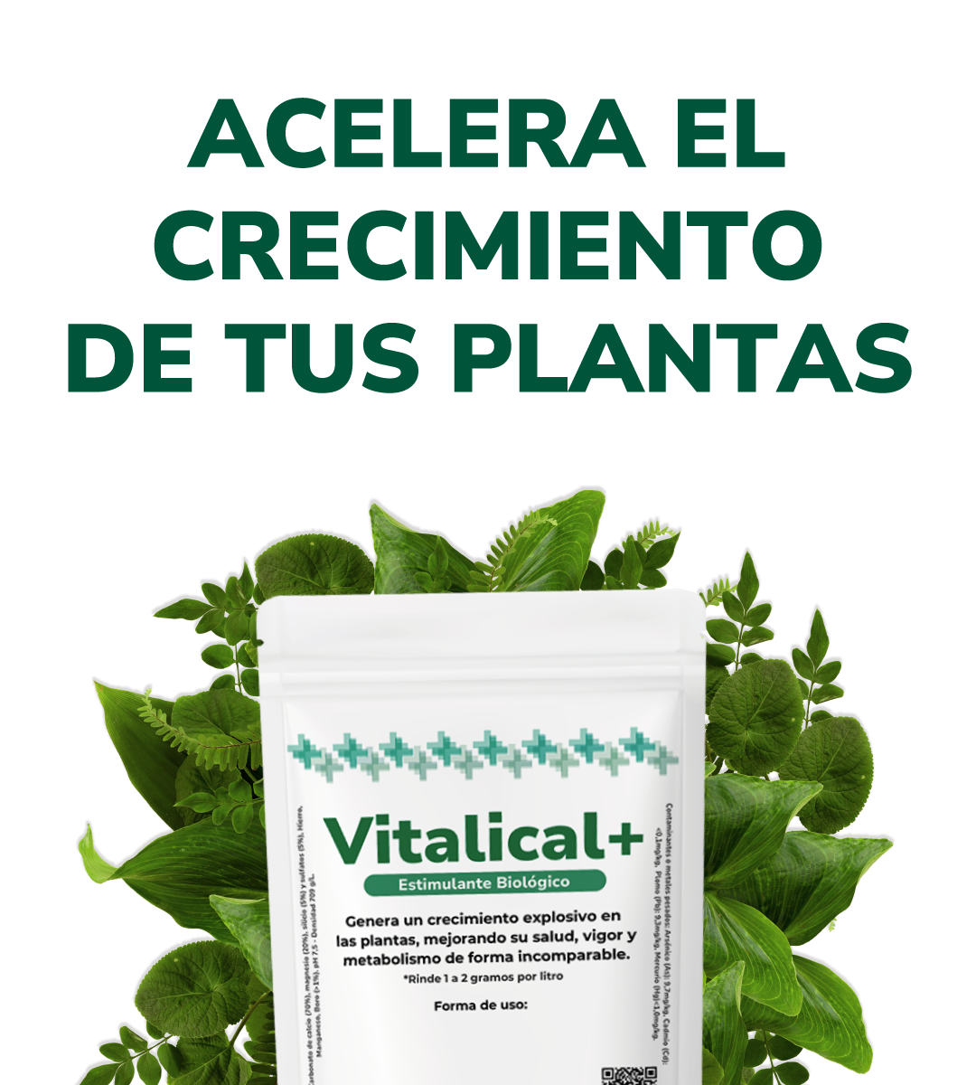 Vitalical