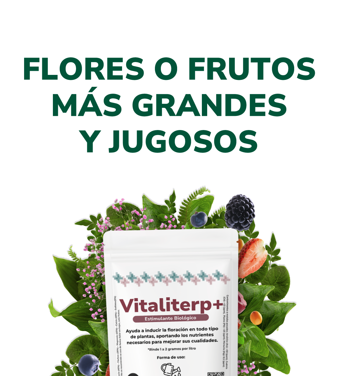 Vitaliterp