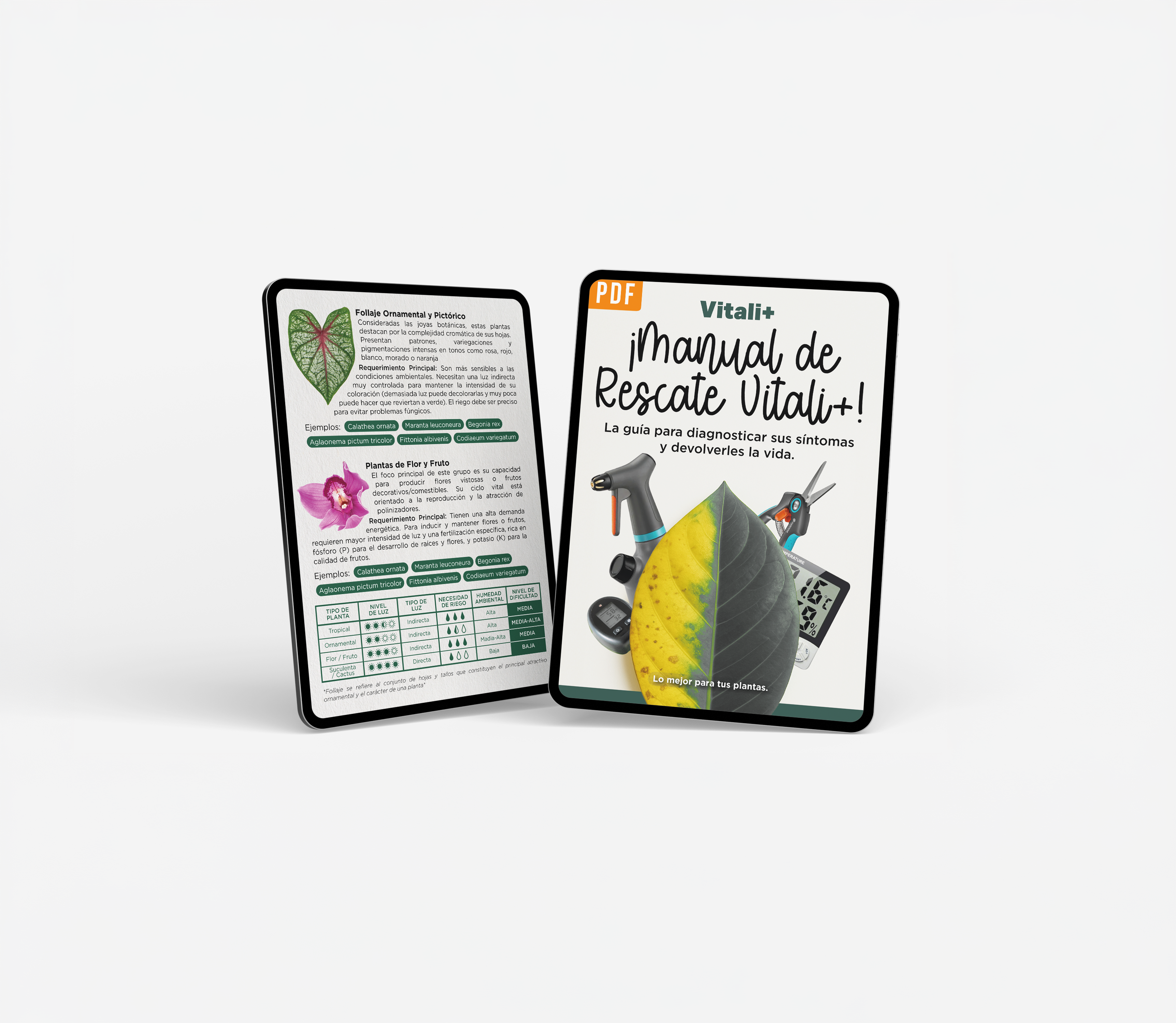 Manual de rescate