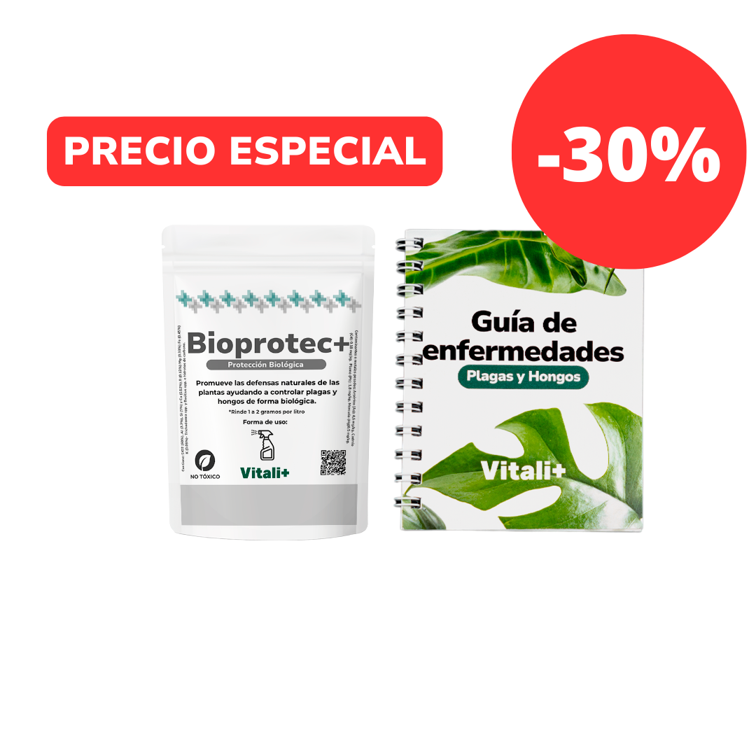 Kit Protección