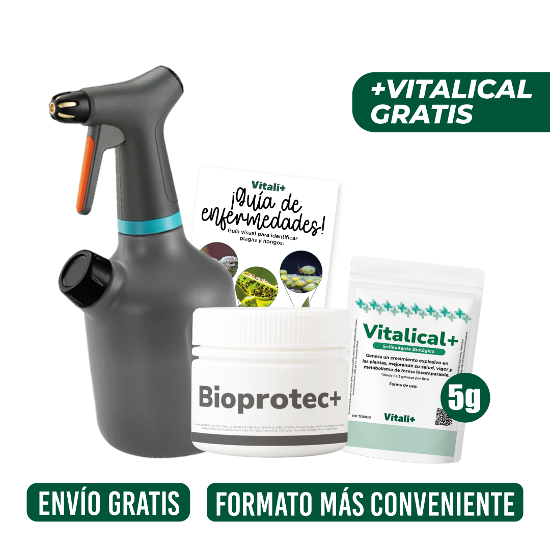 Kit Protección