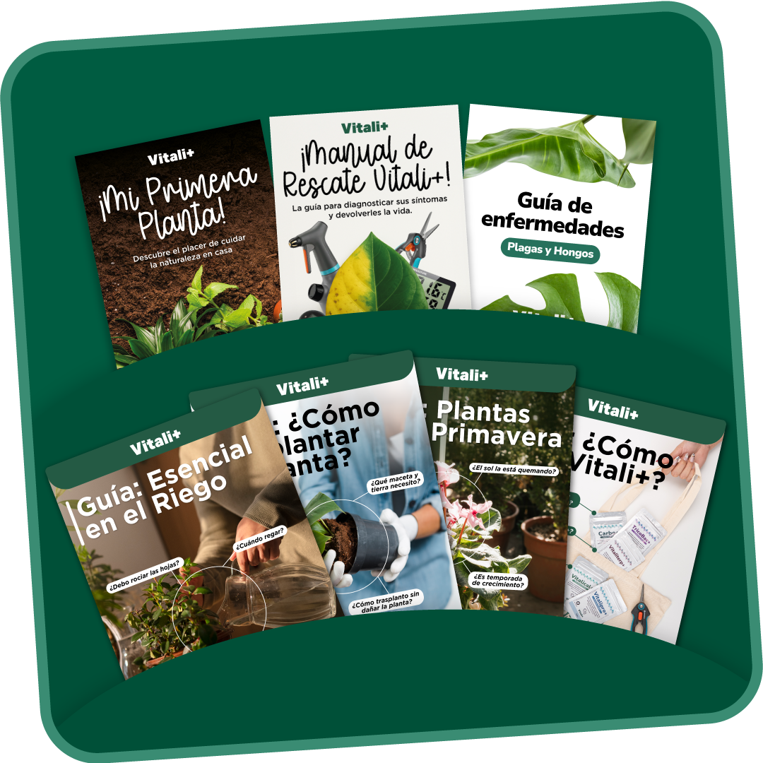 Taller: Manual de Supervivencia