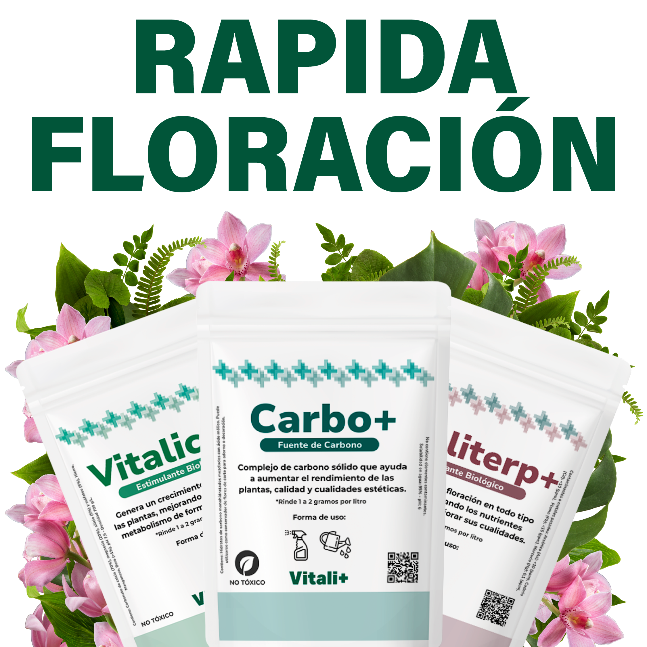 Pack Flores