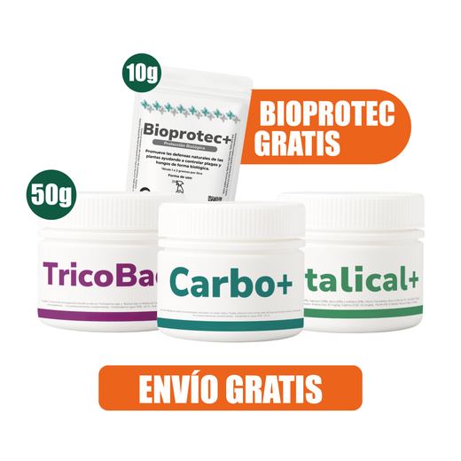 Pack Primavera