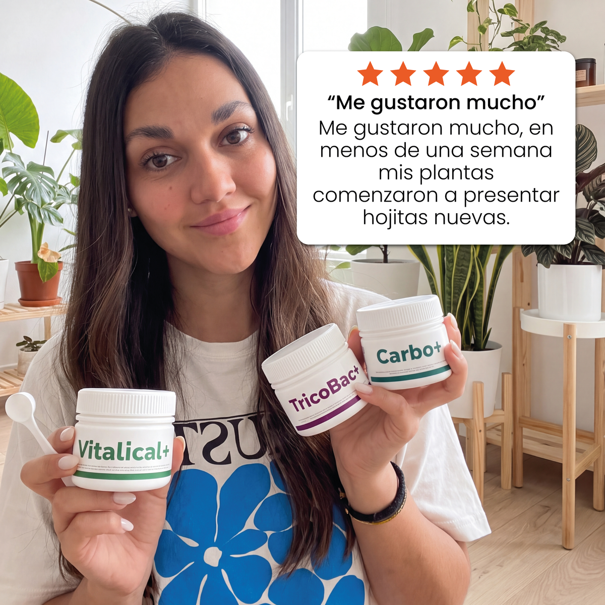 Pack Primavera