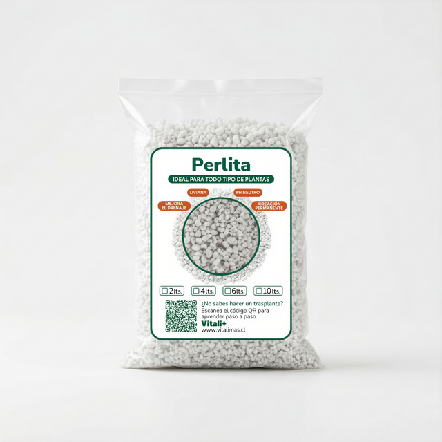 Perlita