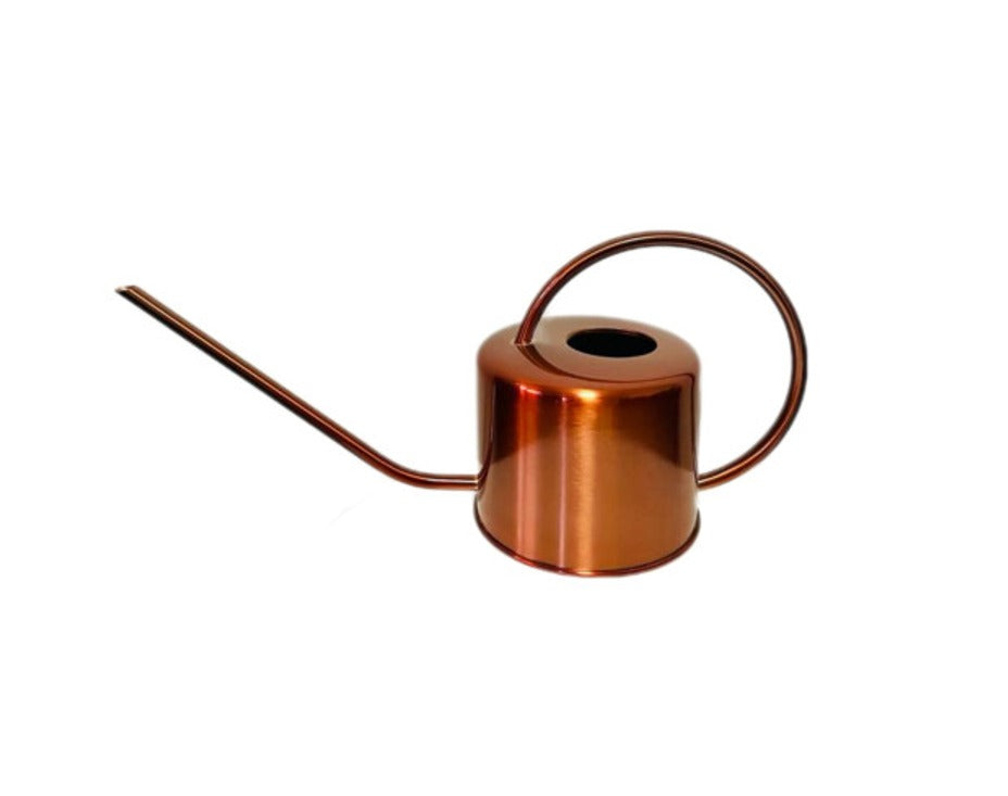 Regadera Inox