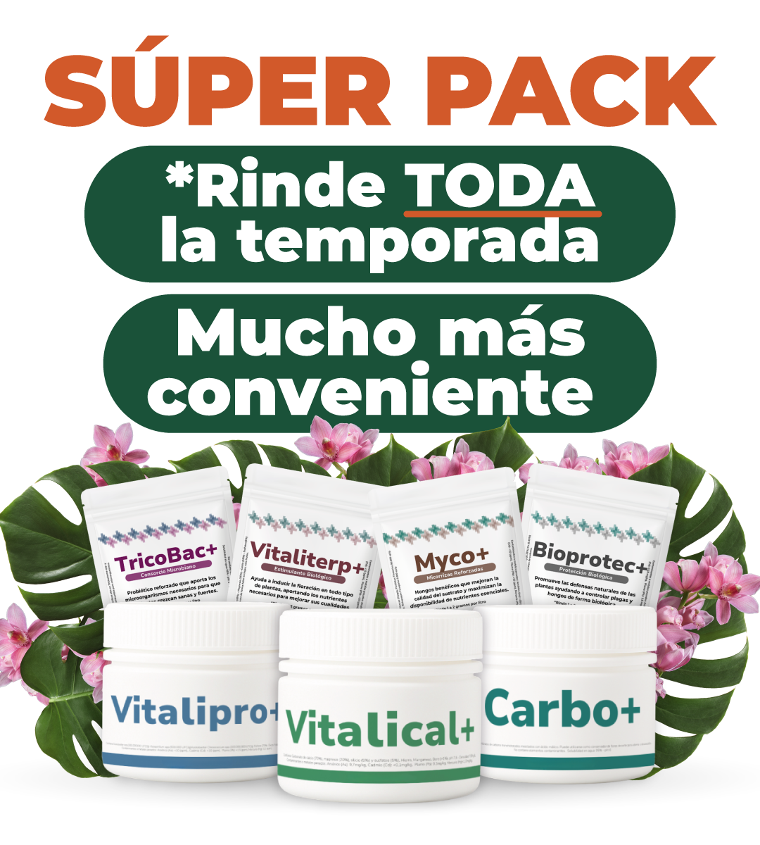 Súper Pack Vitali+
