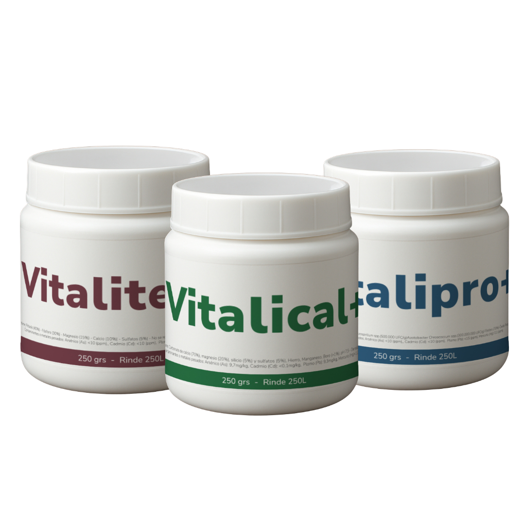Pack Vitalifan