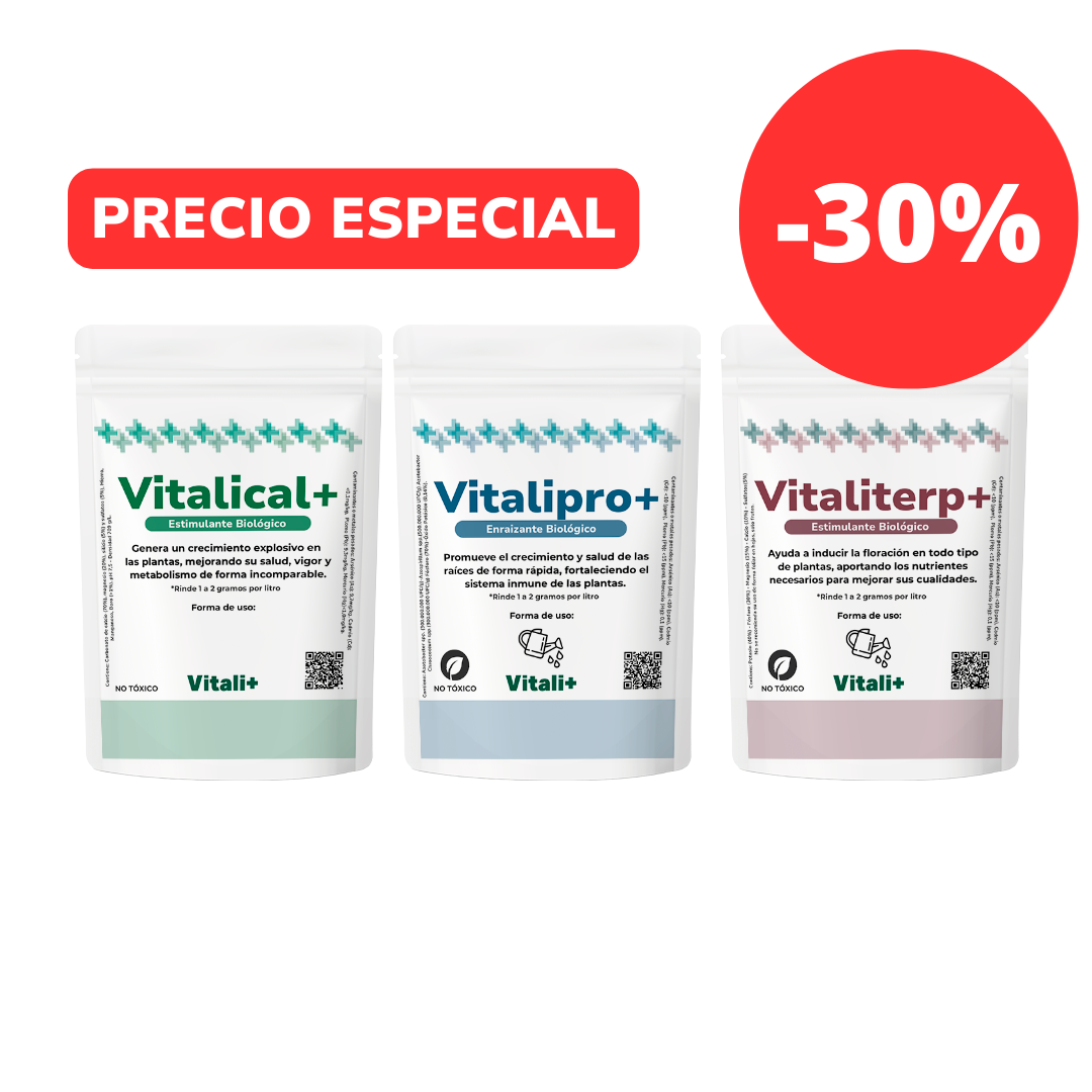 Tripack Vitali+