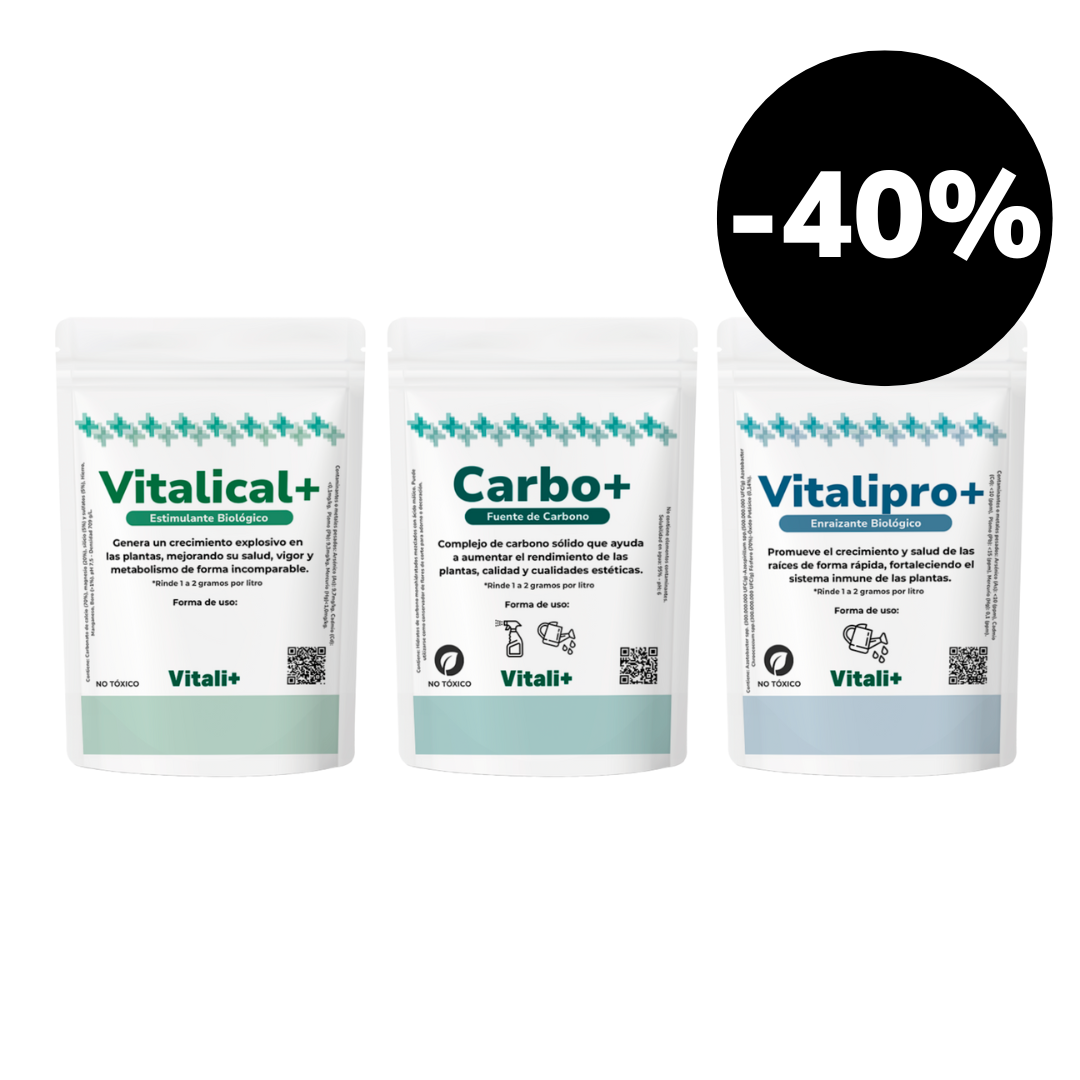 Pack Verano
