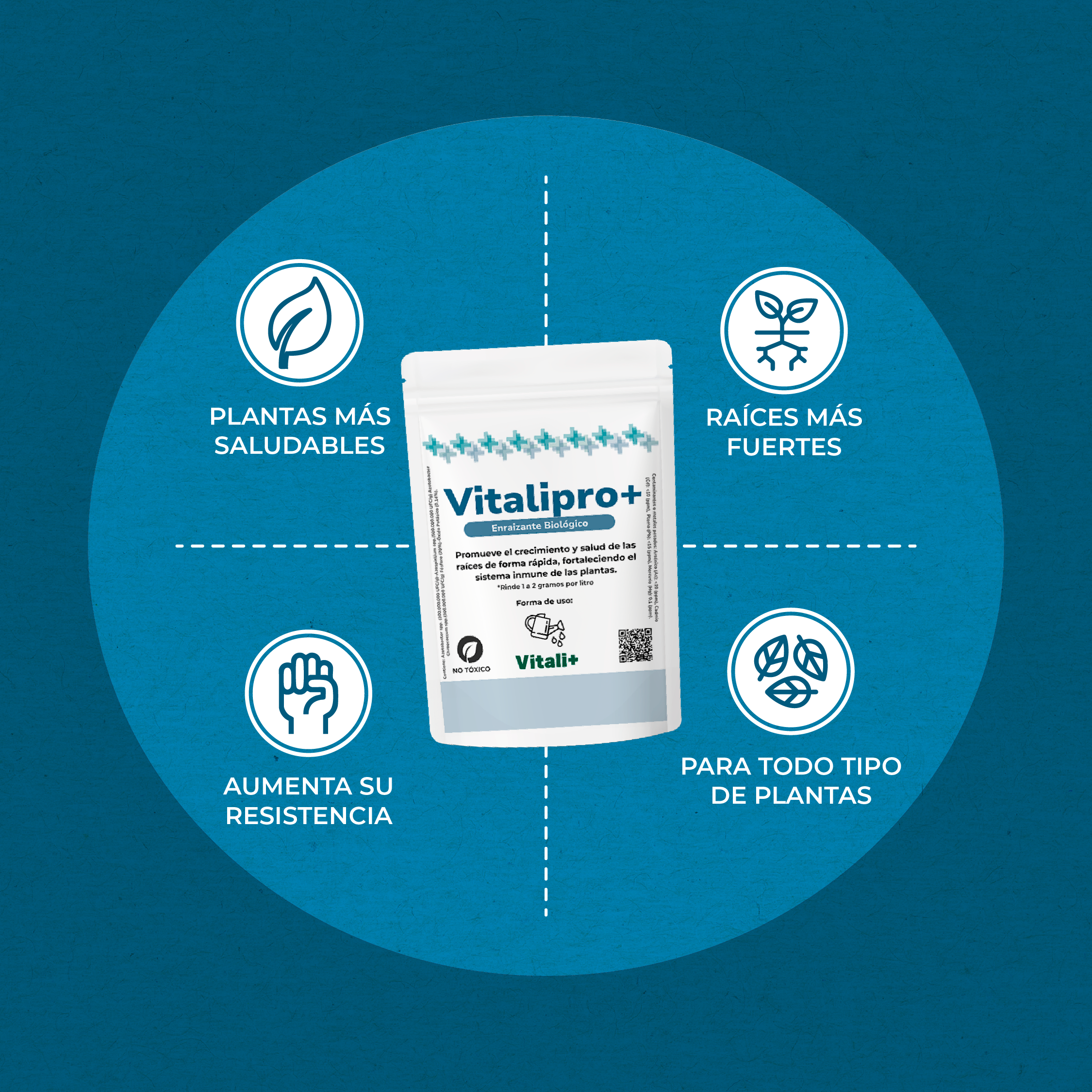 Vitalipro