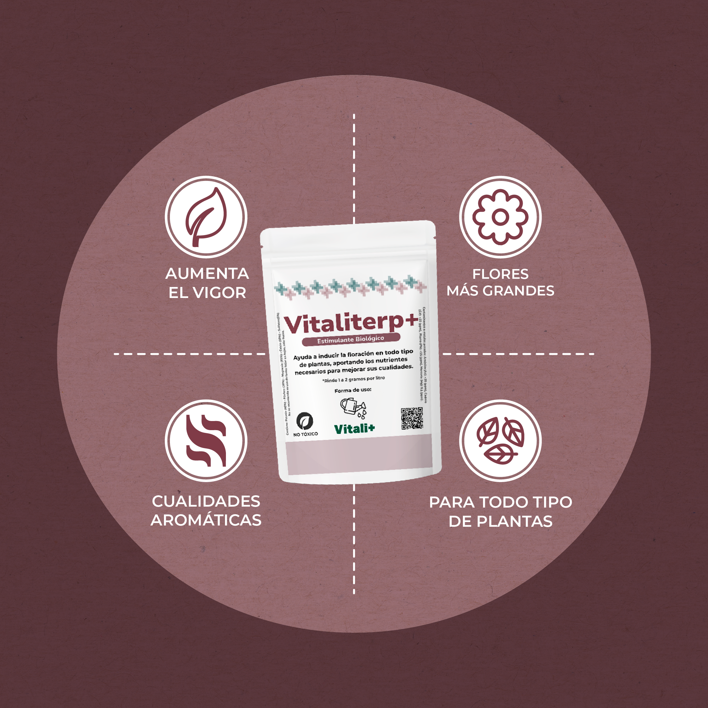 Vitaliterp