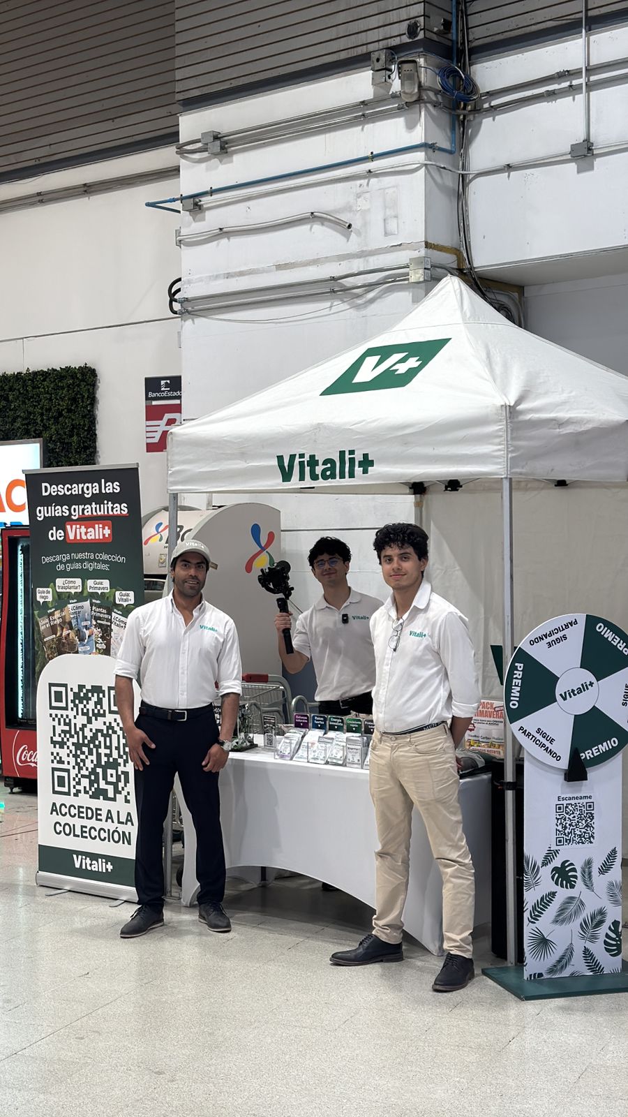 ¡Al Rescate! La Clínica de Plantas Vitali+ es la Solución Definitiva para tus Amigas Verdes 🌿