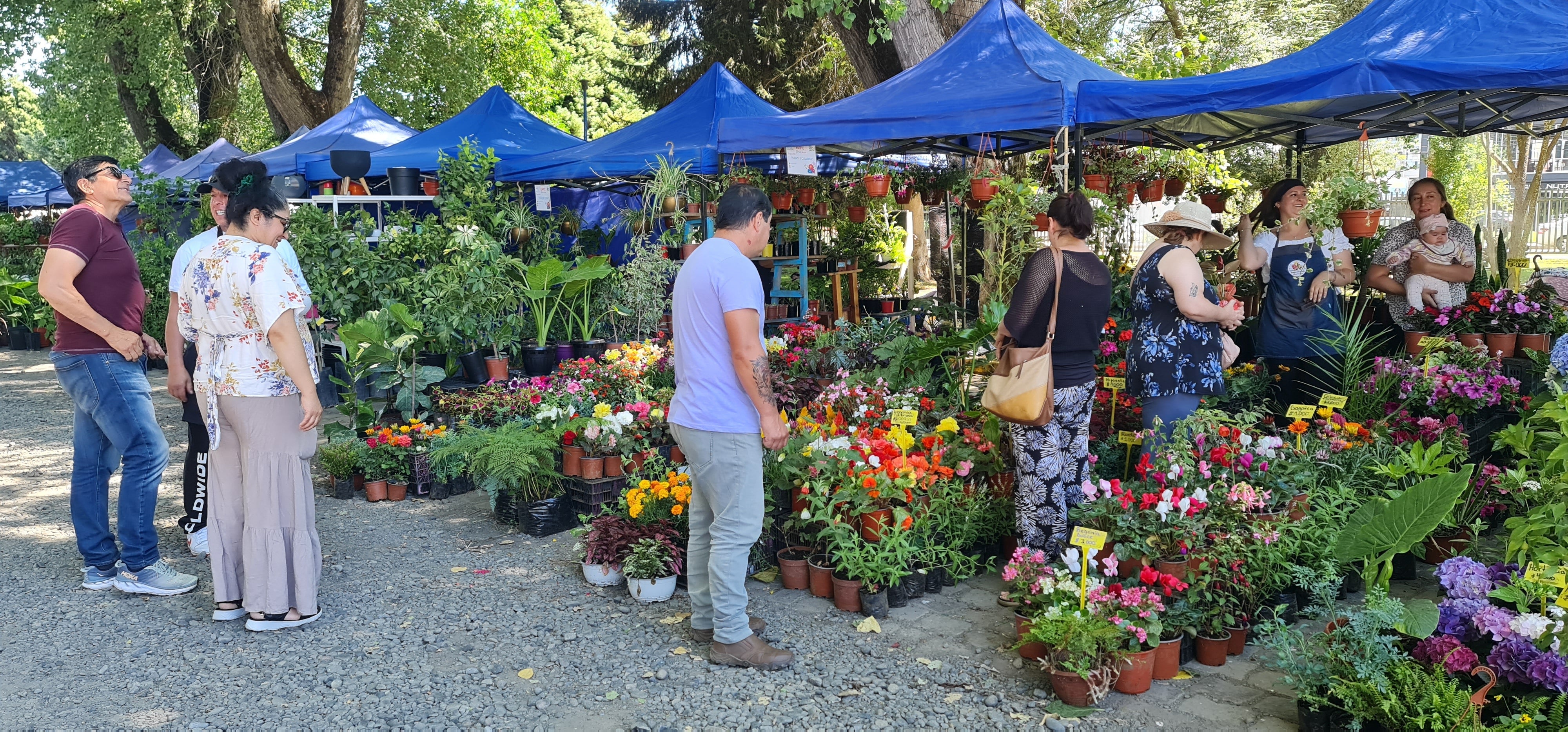 ¡No te pierdas la 16.ª Expo Flores de Temuco! Un Fin de Semana Lleno de Color, Vida y Conocimiento para Ti y Tu Familia