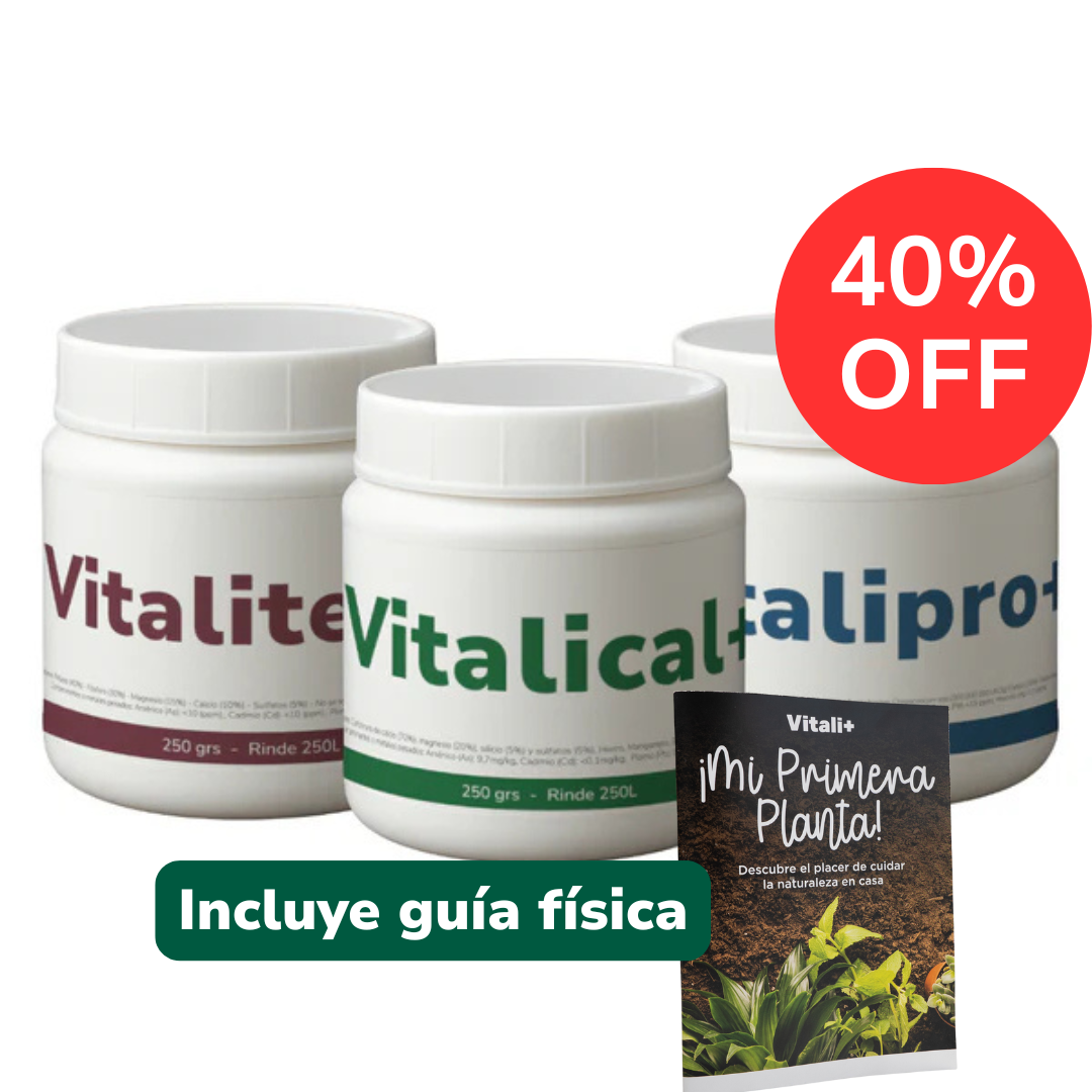 Pack Vitalifan