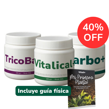 Pack Primavera