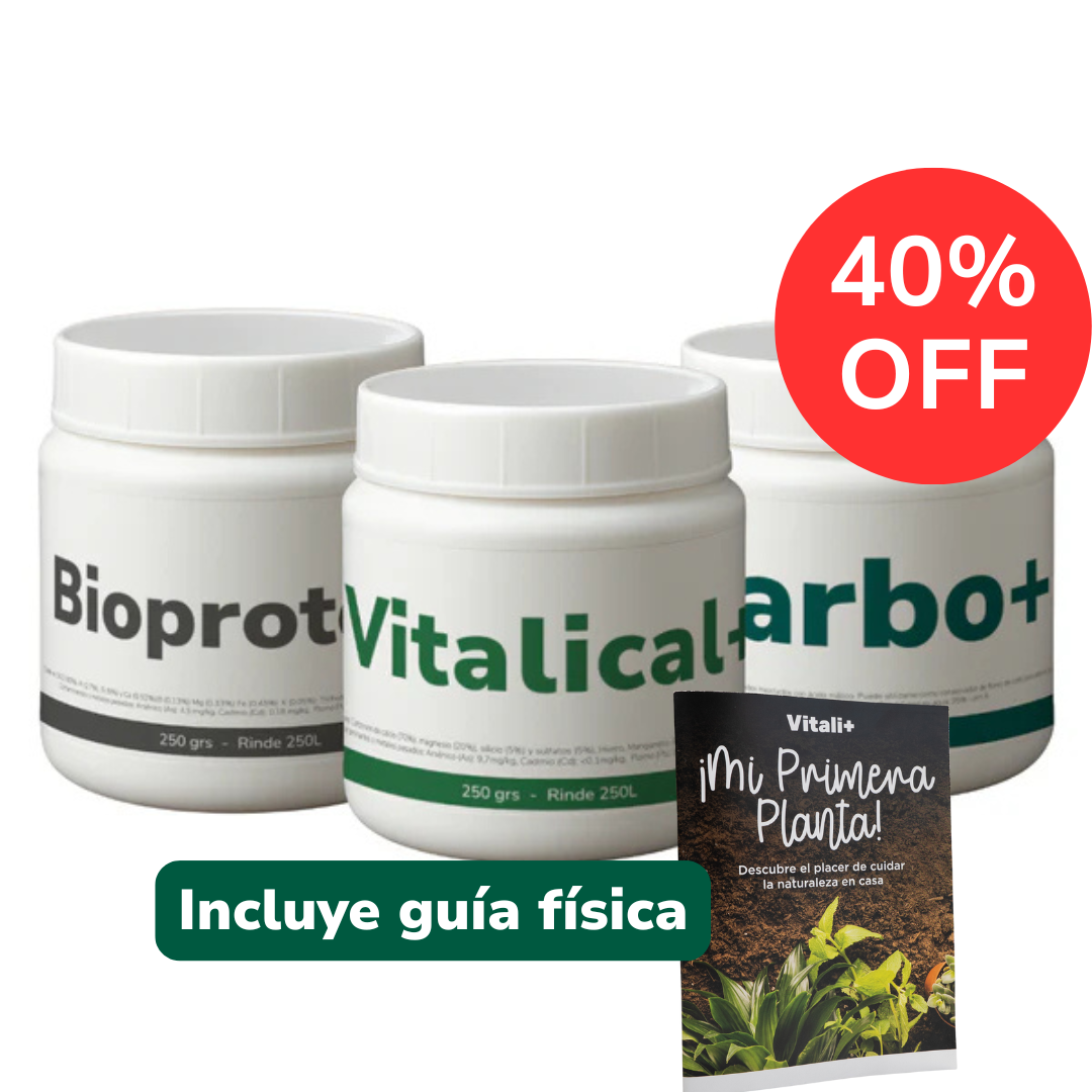 Pack Desarrollo