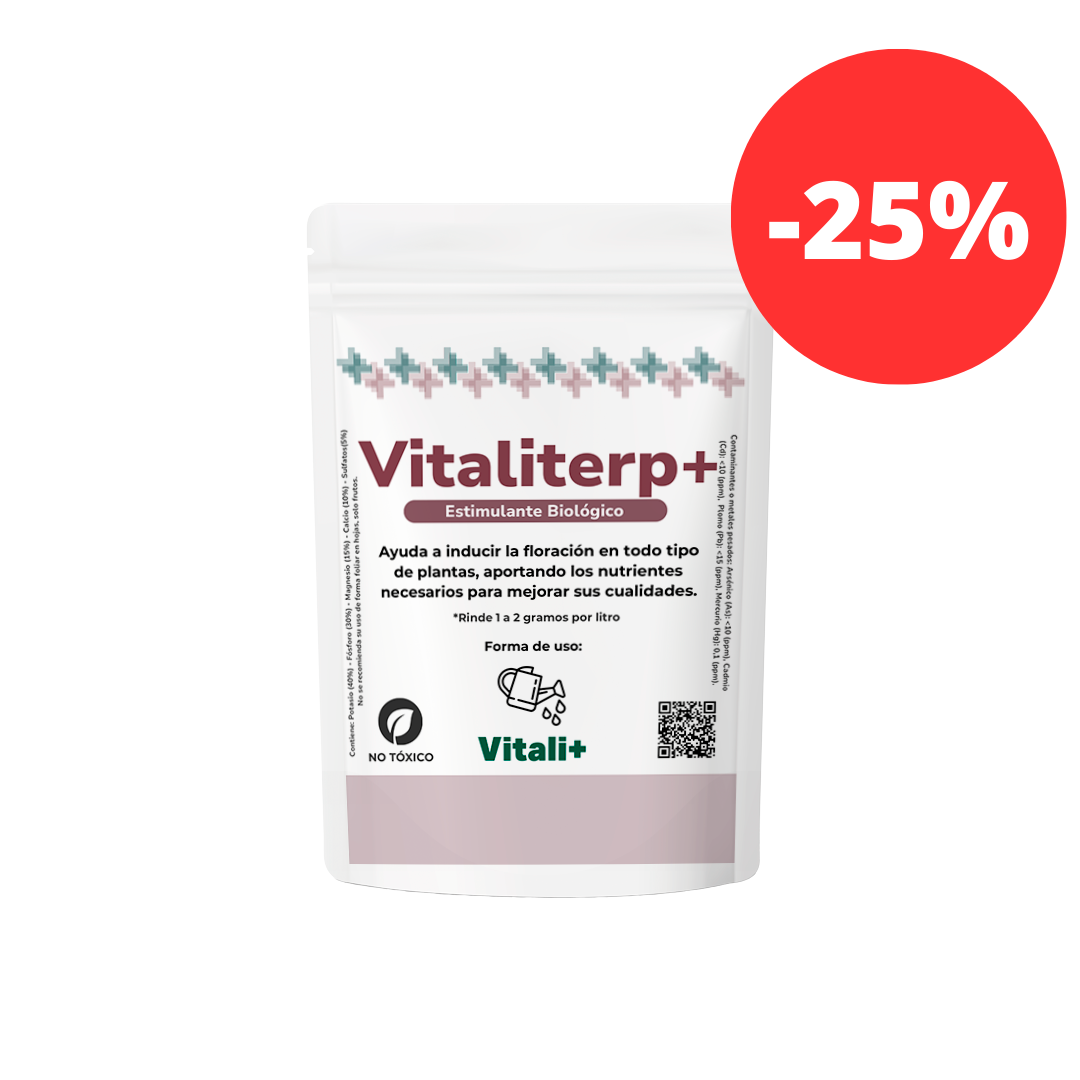 Vitaliterp